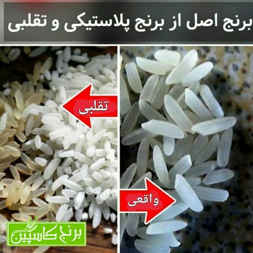 تشخیص برنج اصل و تقلبی