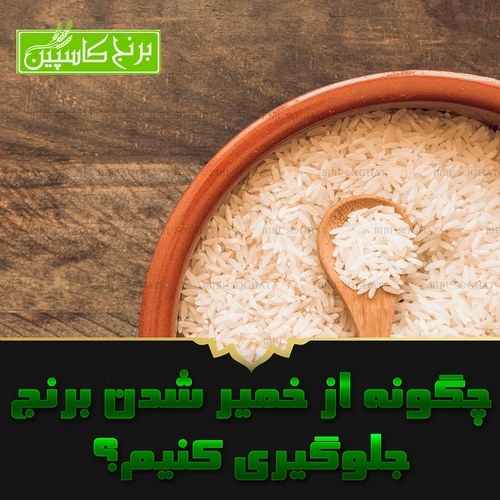 خمیر شدن برنج