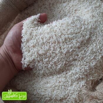 برنج طارم محلی