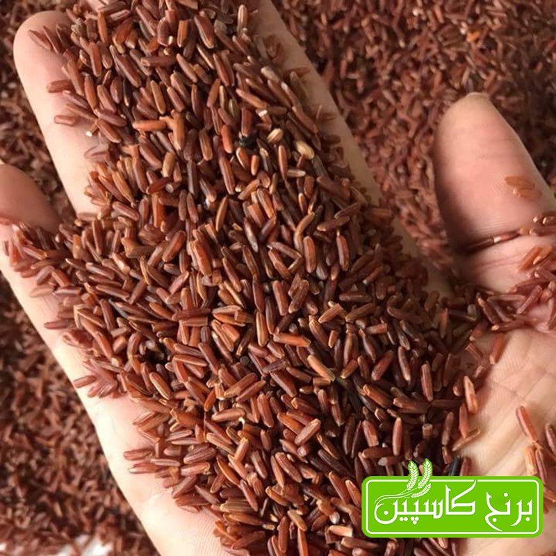 برنج سرخ