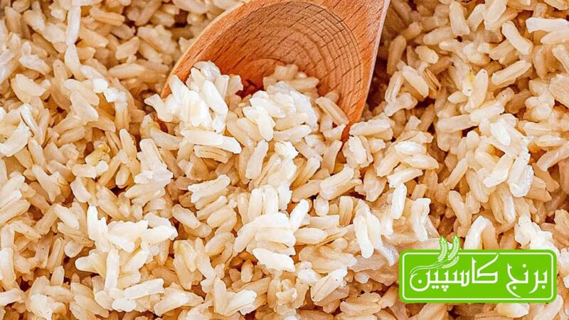 برنج قهوه ای برنج قهوه ای