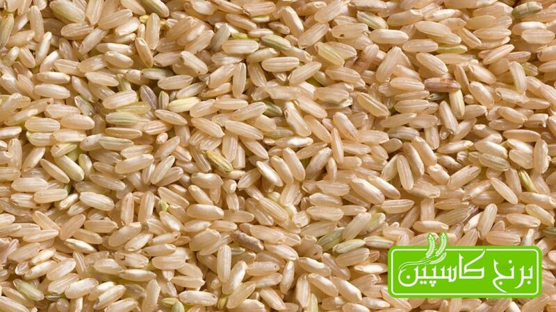 برنج قهوه ای برنج قهوه ای