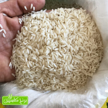 برنج صدری هاشمی