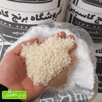 برنج دم سیاه استخوانی آستانه اشرفیه گیلان